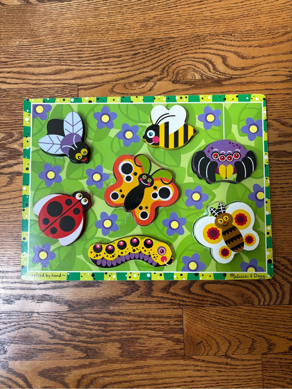 Melissa & Doug Green Garden Bugs Wooden Peg Puzzle - Colorful Insect Playset